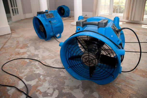 Best Flooded house restoration  in Magnolia, AR