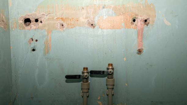 Trusted Magnolia, AR Water damage restoration Experts
